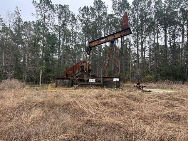 TBD Sh 146 South, Livingston, TX 77351