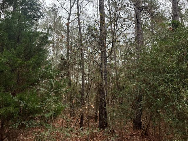 TBD Sh 146 South, Livingston, TX 77351