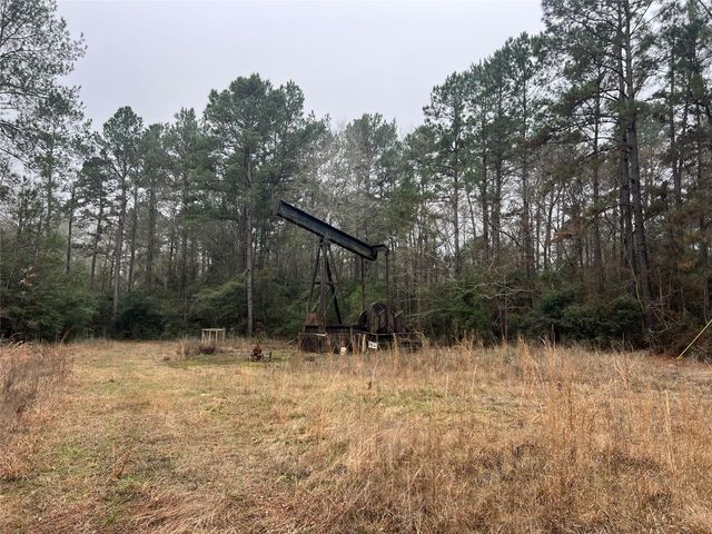 TBD Sh 146 South, Livingston, TX 77351