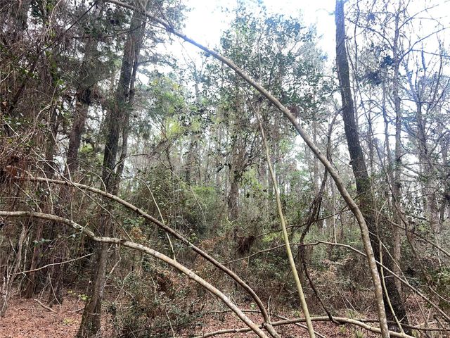 TBD Sh 146 South, Livingston, TX 77351