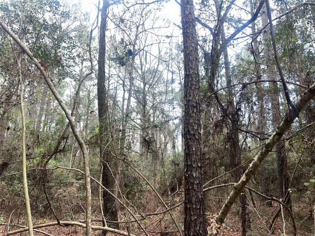 TBD Sh 146 South, Livingston, TX 77351