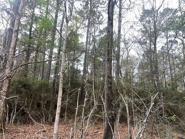 TBD Sh 146 South, Livingston, TX 77351