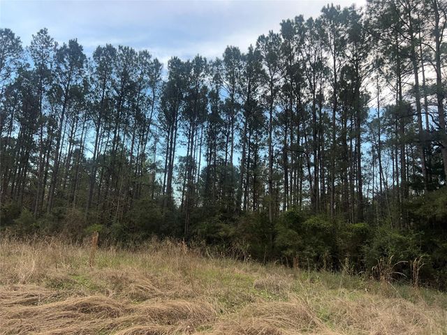 TBD Sh 146 South, Livingston, TX 77351