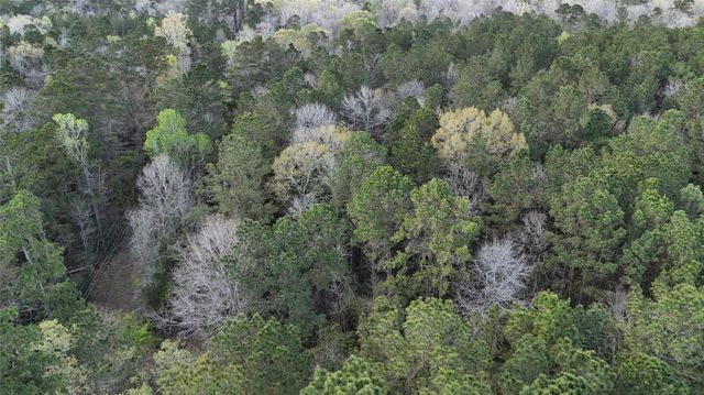 TBD Sh 146 South, Livingston, TX 77351