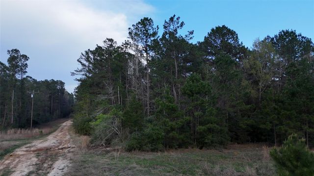 TBD Sh 146 South, Livingston, TX 77351