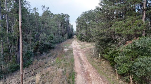 TBD Sh 146 South, Livingston, TX 77351