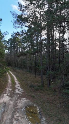 TBD Sh 146 South, Livingston, TX 77351