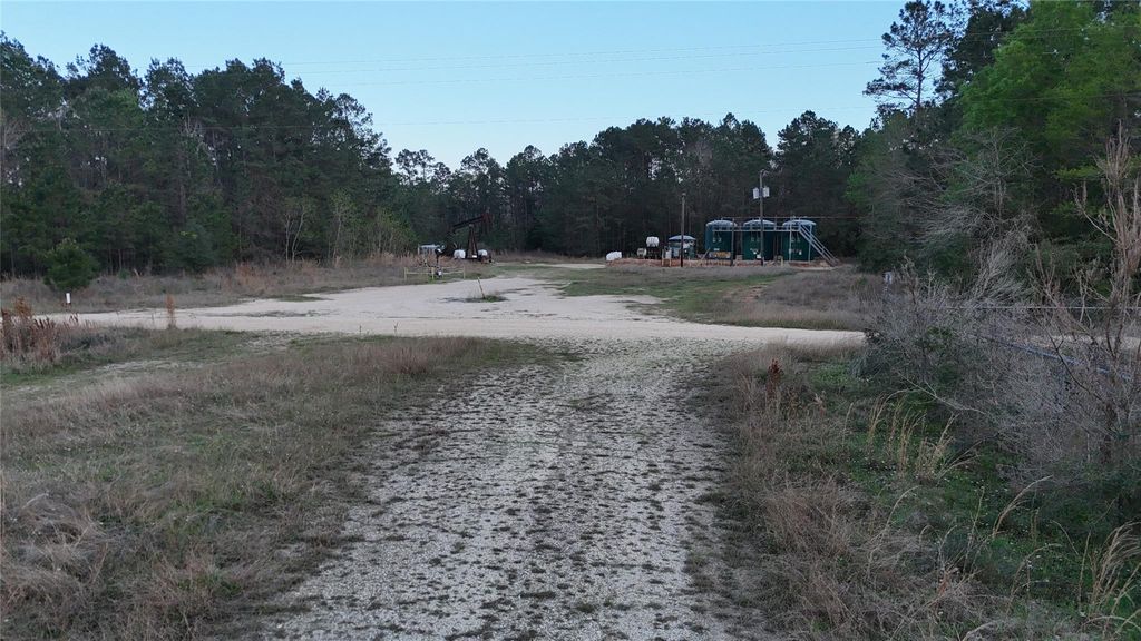 TBD Sh 146 South, Livingston, TX 77351