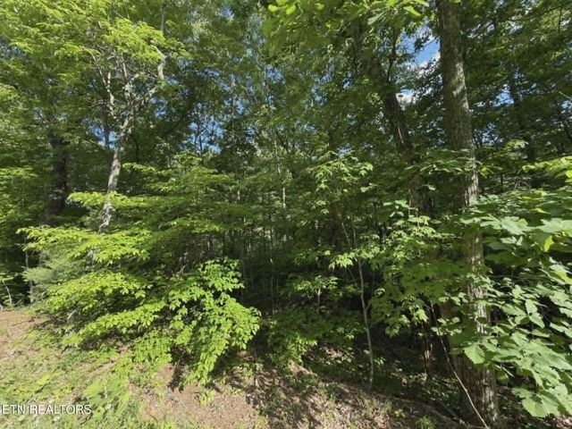 0 Fox Hunters Lane, Sevierville, TN 37876