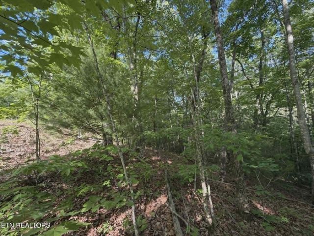 0 Fox Hunters Lane, Sevierville, TN 37876