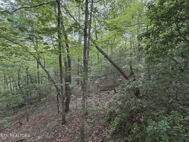 0 Fox Hunters Lane, Sevierville, TN 37876
