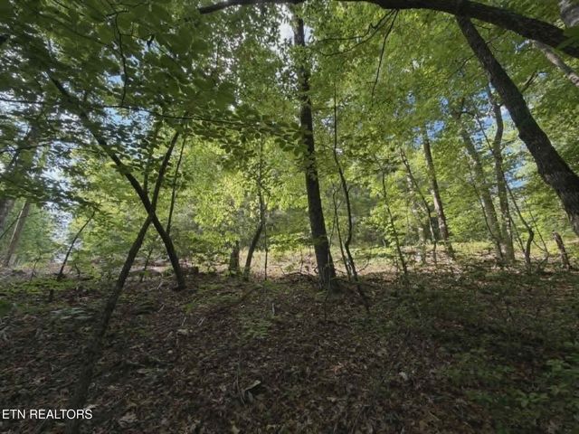0 Fox Hunters Lane, Sevierville, TN 37876