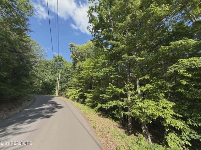 0 Fox Hunters Lane, Sevierville, TN 37876