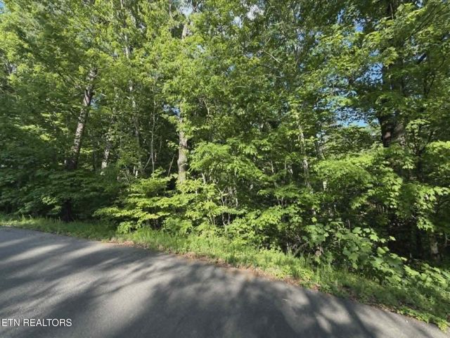 0 Fox Hunters Lane, Sevierville, TN 37876