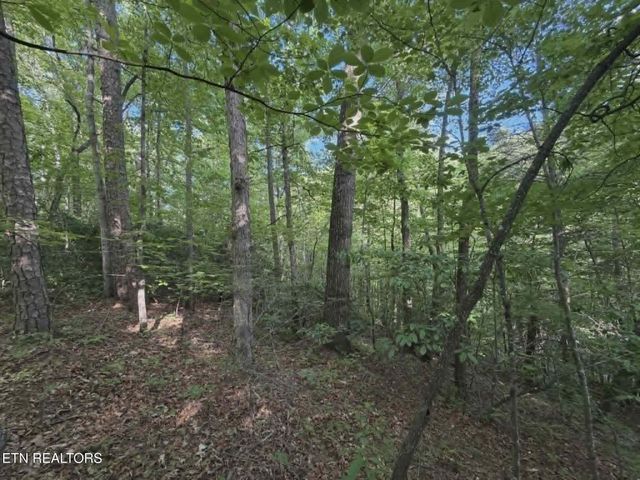 0 Fox Hunters Lane, Sevierville, TN 37876