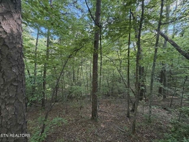 0 Fox Hunters Lane, Sevierville, TN 37876