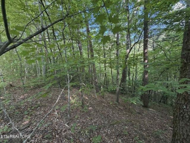 0 Fox Hunters Lane, Sevierville, TN 37876