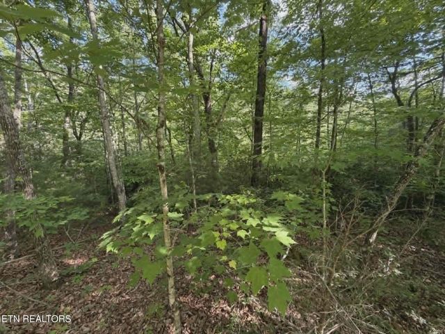 0 Fox Hunters Lane, Sevierville, TN 37876