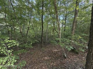 0 Fox Hunters Lane, Sevierville, TN 37876