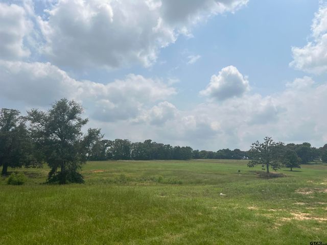 Lot 8 FM 315, Chandler, TX 75758
