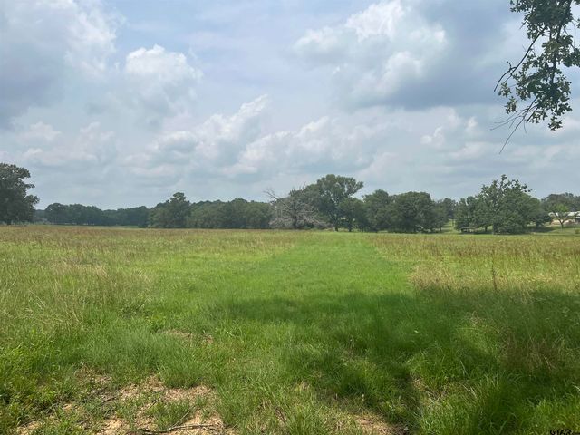 Lot 8 FM 315, Chandler, TX 75758