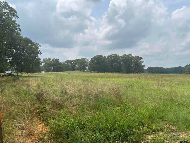 Lot 8 FM 315, Chandler, TX 75758