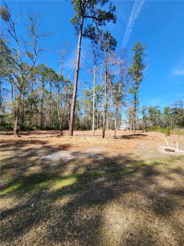 D-20 Turtle Dove Way, Waverly, GA 31565