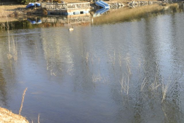 5075 Van Bibber Lake, Greencastle, IN 46135