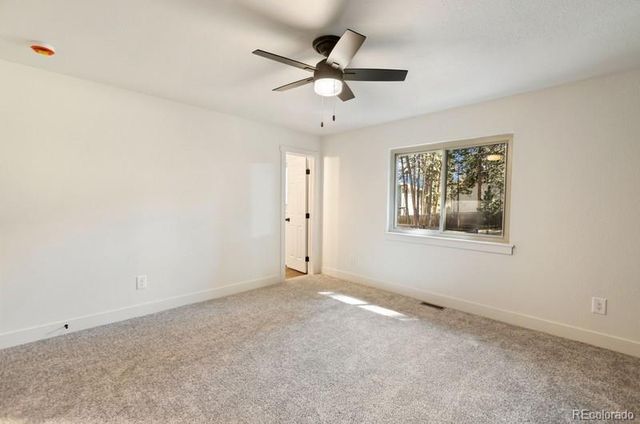 1005 W Lorraine Avenue, Woodland Park, CO 80863