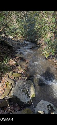 514 Butler Branch Road, Gatlinburg, TN 37738