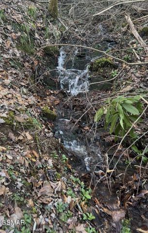 514 Butler Branch Road, Gatlinburg, TN 37738