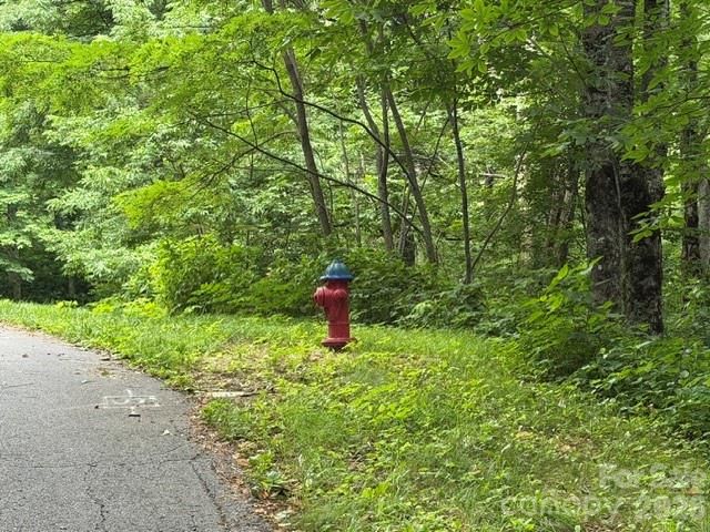 Lot 35 Odalu Trail 35, Maggie Valley, NC 28751