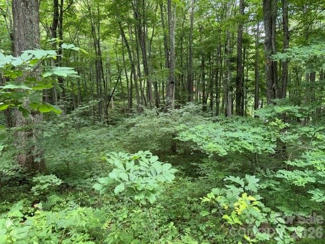 Lot 35 Odalu Trail 35, Maggie Valley, NC 28751