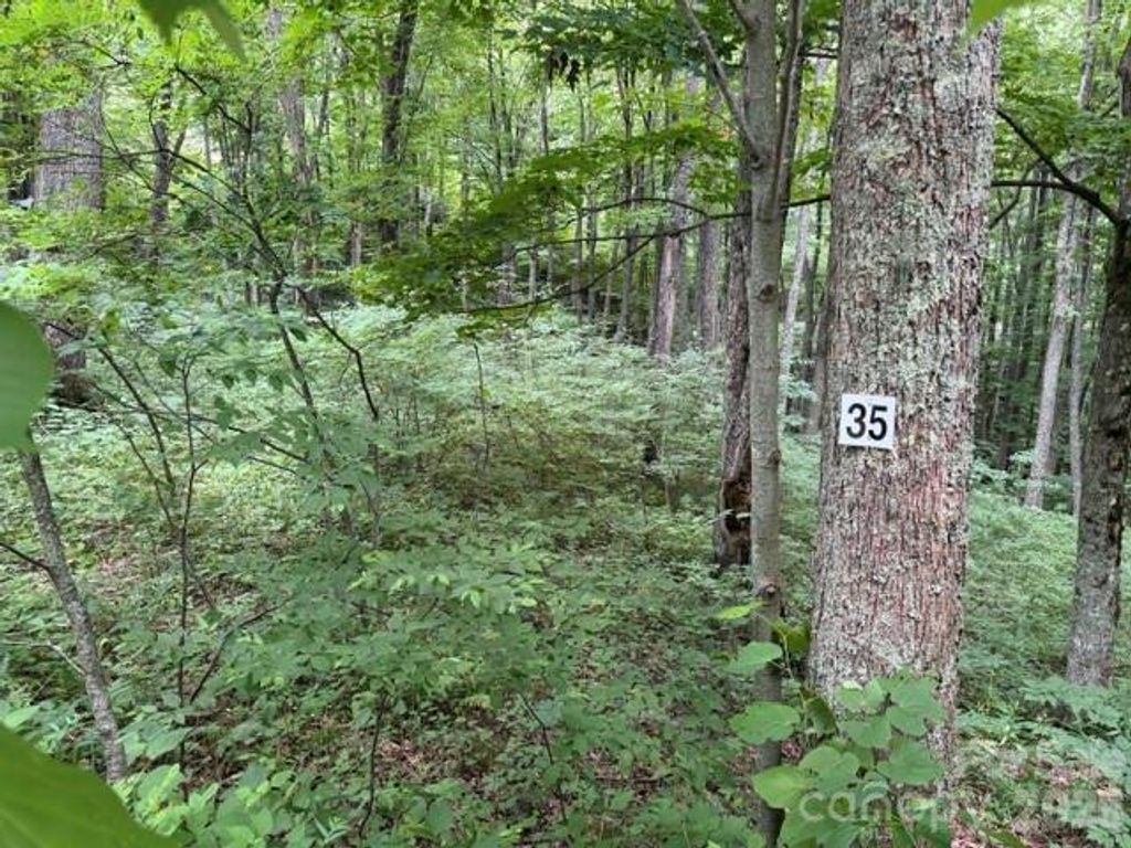 Lot 35 Odalu Trail 35, Maggie Valley, NC 28751
