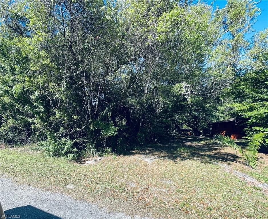 1413 Gerald AVE, LEHIGH ACRES, FL 33972 — photo 3