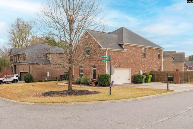 646 Village Market Drive, Chapin, SC 29036