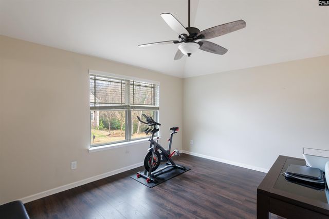 646 Village Market Drive, Chapin, SC 29036