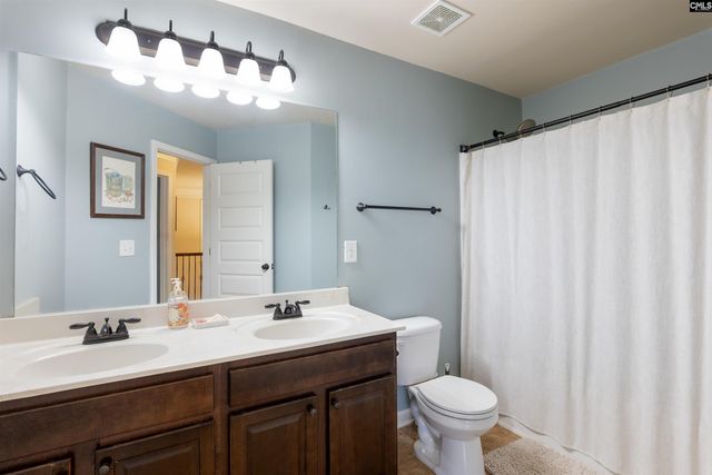 646 Village Market Drive, Chapin, SC 29036