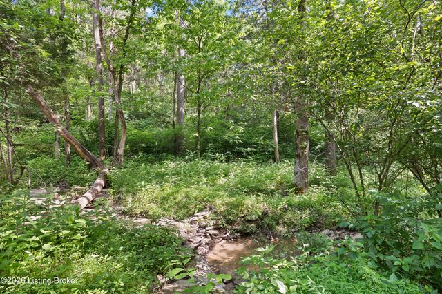 540 River Park Blvd, Taylorsville, KY 40071