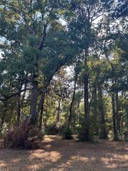 151617 Chain Rd Road, Livingston, TX 77351