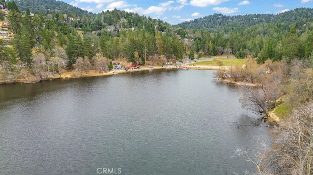 1044 Nesthorn Drive, Crestline, CA 92325