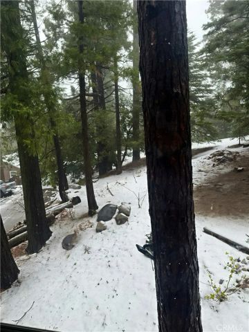 1044 Nesthorn Drive, Crestline, CA 92325