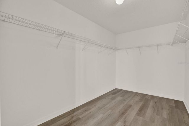 10109 CRESTED FRINGE DRIVE, Riverview, FL 33578