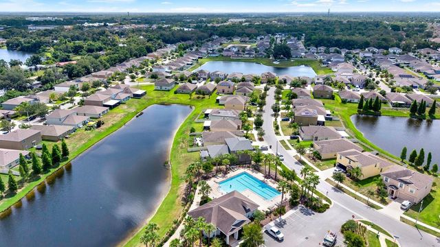 10109 CRESTED FRINGE DRIVE, Riverview, FL 33578