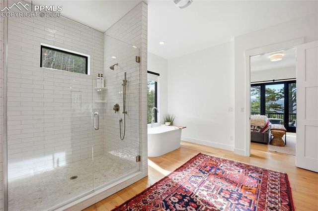 1005 Locklin Way, Woodland Park, CO 80863