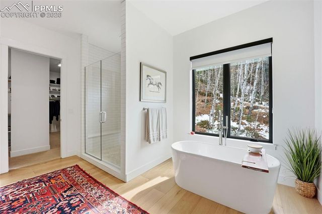 1005 Locklin Way, Woodland Park, CO 80863