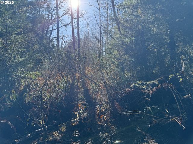 5 HILLTOP Dr 1403, Lakeside, OR 97449