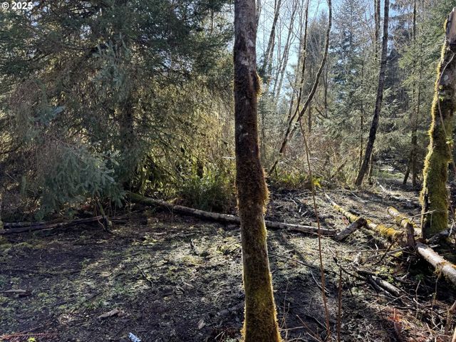 5 HILLTOP Dr 1403, Lakeside, OR 97449