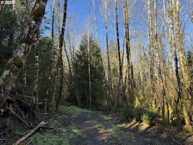 5 HILLTOP Dr 1403, Lakeside, OR 97449