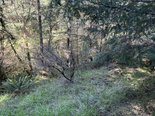 5 HILLTOP Dr 1403, Lakeside, OR 97449